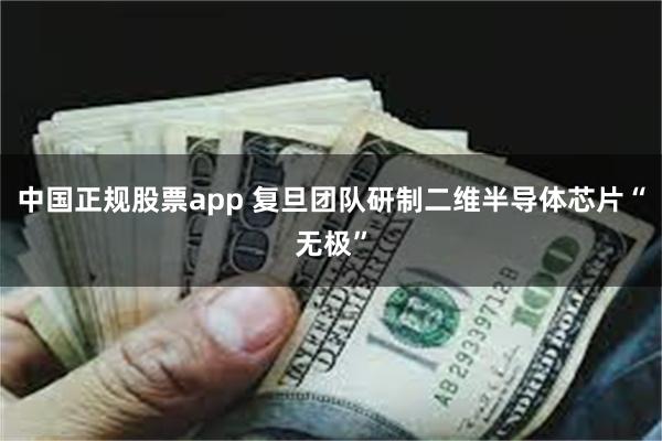 中国正规股票app 复旦团队研制二维半导体芯片“无极”