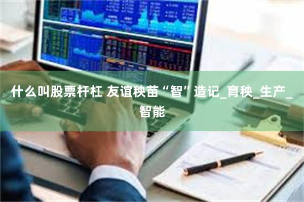 什么叫股票杆杠 友谊秧苗“智”造记_育秧_生产_智能