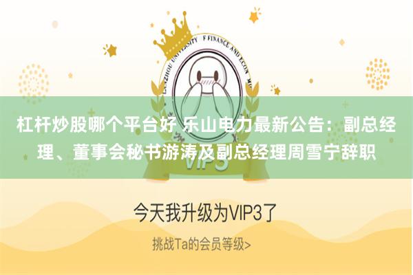 杠杆炒股哪个平台好 乐山电力最新公告：副总经理、董事会秘书游涛及副总经理周雪宁辞职