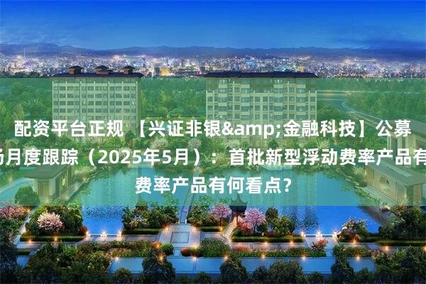 配资平台正规 【兴证非银&金融科技】公募基金市场月度跟踪（2025年5月）：首批新型浮动费率产品有何看点？