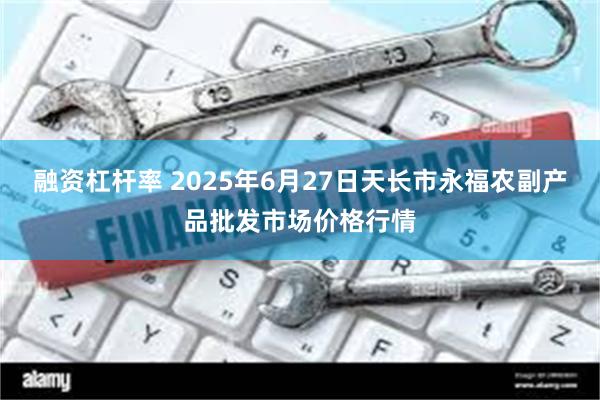 融资杠杆率 2025年6月27日天长市永福农副产品批发市场价格行情