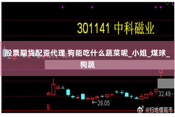 股票期货配资代理 狗能吃什么蔬菜呢_小姐_煤球_狗蔬