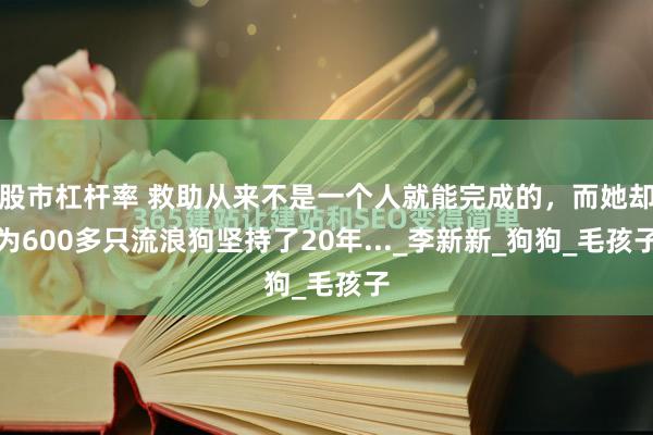 股市杠杆率 救助从来不是一个人就能完成的，而她却为600多只流浪狗坚持了20年..._李新新_狗狗_毛孩子