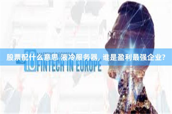 股票配什么意思 液冷服务器, 谁是盈利最强企业?