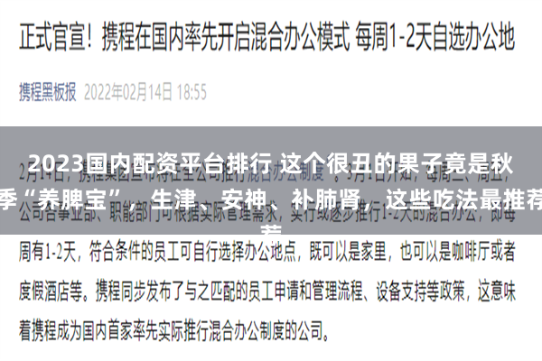 2023国内配资平台排行 这个很丑的果子竟是秋季“养脾宝”，生津、安神、补肺肾，这些吃法最推荐