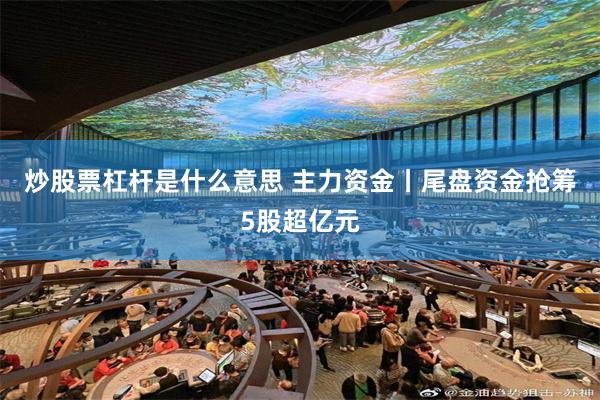 炒股票杠杆是什么意思 主力资金丨尾盘资金抢筹5股超亿元