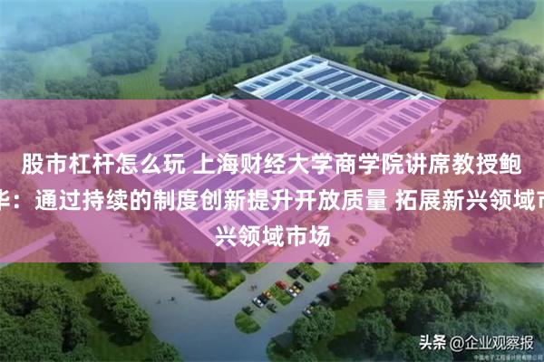 股市杠杆怎么玩 上海财经大学商学院讲席教授鲍晓华：通过持续的制度创新提升开放质量 拓展新兴领域市场